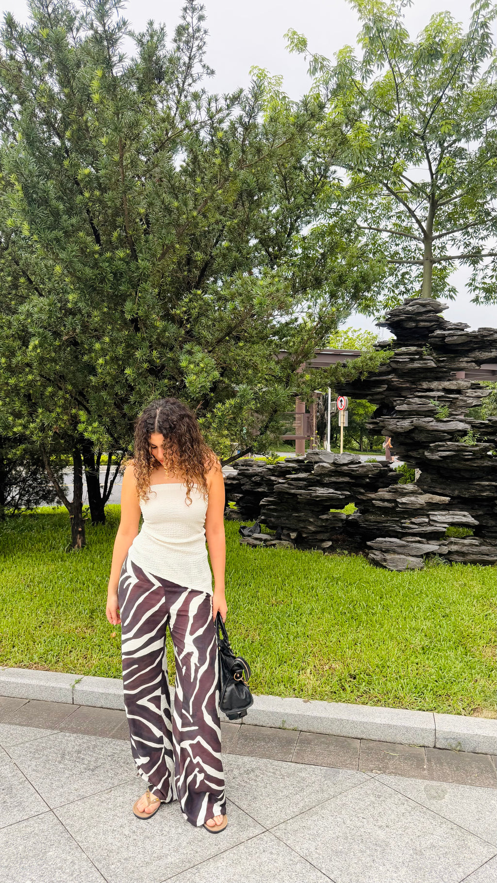 Zebra Pants