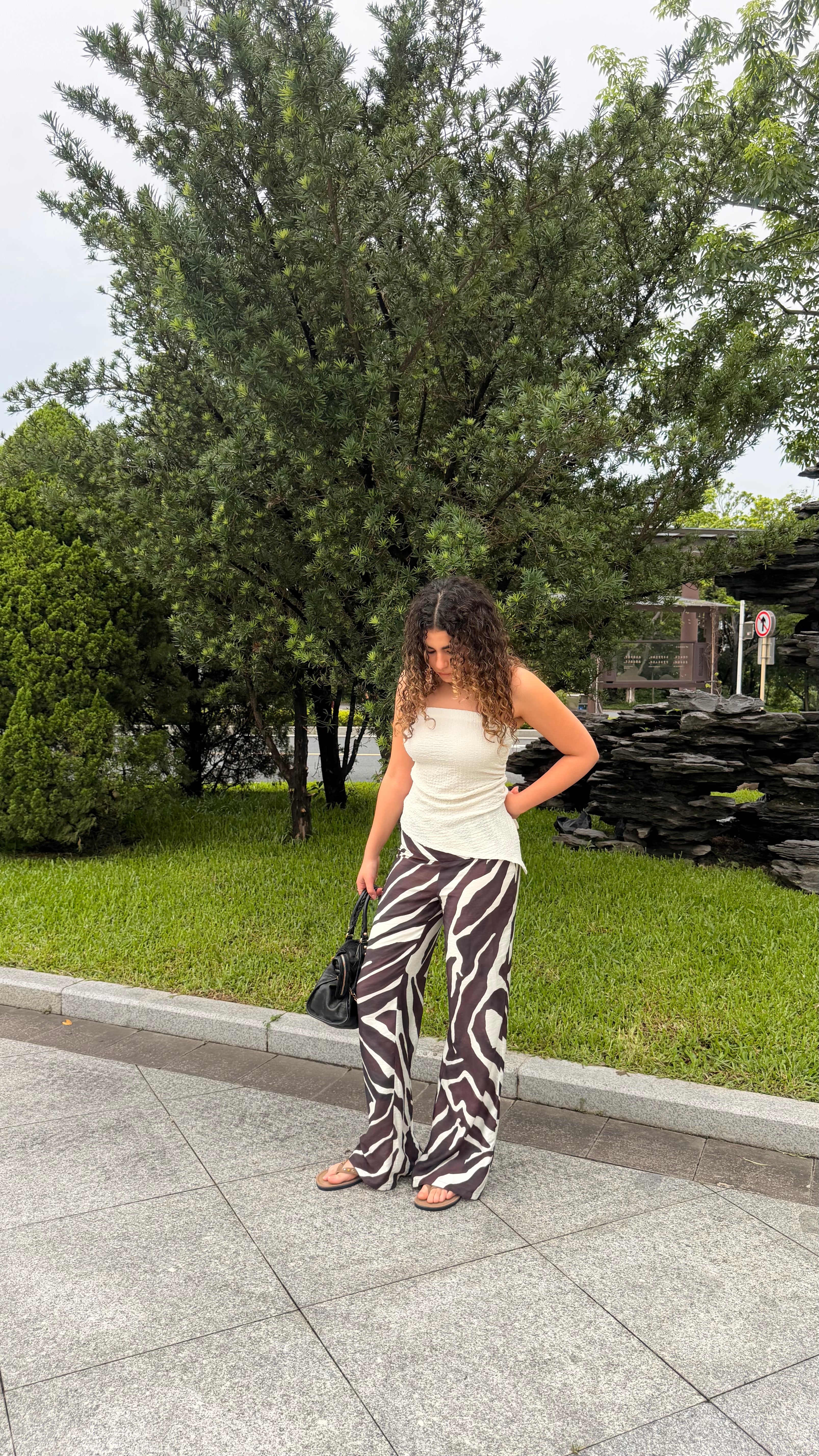 Zebra Pants